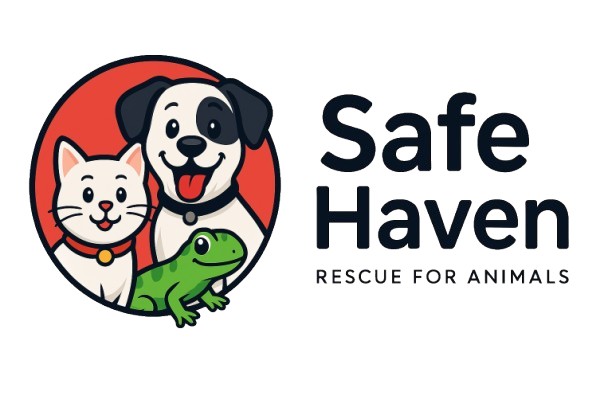 safehavenrescueforanimals.com - 