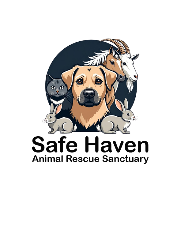 safehavenrescueforanimals.com - 